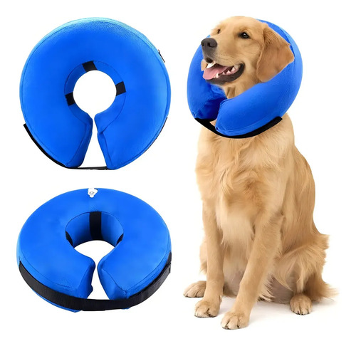 Collar Isabelino Regulable A Prueba De Mordidas P/perro Gato Azul Xl 17