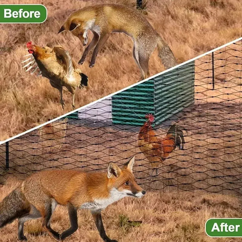 Red Antipájaros Para Protección De Jardines, Malla De Jardín 20