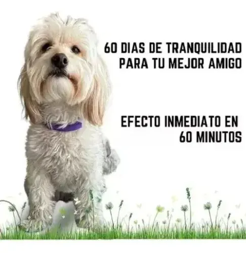 Collar Calmante Perro Ajustable Calma Ansiedad Relajante Púrpura Corazones Calmante 4