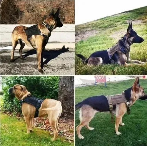 Arnés Táctico Profesional Ajustables Para Perros Grandes Color Negro Talla Del Arnés Xl 7