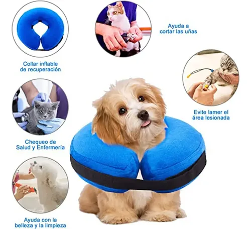 Collar Isabelino Regulable A Prueba De Mordidas P/perro Gato Azul Xl 3