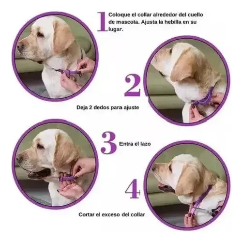 Collar Calmante Perro Ajustable Calma Ansiedad Relajante Púrpura Corazones Calmante 17