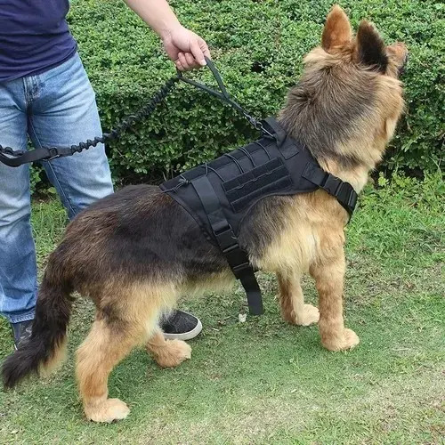 Arnés Táctico Profesional Ajustables Para Perros Grandes Color Negro Talla Del Arnés Xl 13