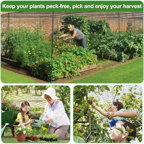 Red Antipájaros Para Protección De Jardines, Malla De Jardín 11