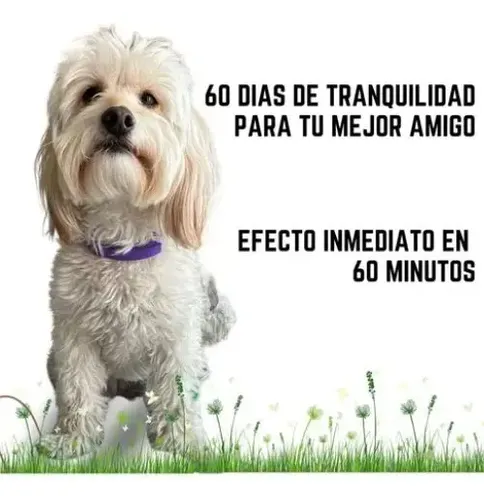Collar Calmante Perro Ajustable Calma Ansiedad Relajante Púrpura Corazones Calmante 7