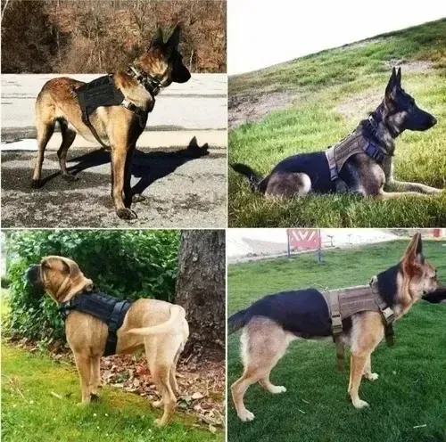 Arnés Táctico Profesional Ajustables Para Perros Grandes Color Negro Talla Del Arnés Xl 14