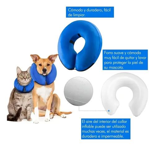 Collar Isabelino Regulable A Prueba De Mordidas P/perro Gato Azul Xl 13