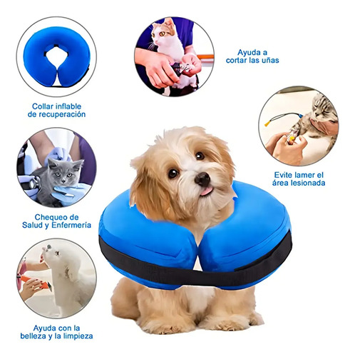 Collar Isabelino Regulable A Prueba De Mordidas P/perro Gato Azul Xl 13
