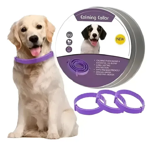 Collar Calmante Perro Ajustable Calma Ansiedad Relajante Púrpura Corazones Calmante