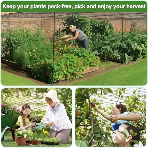 Red Antipájaros Para Protección De Jardines, Malla De Jardín 19