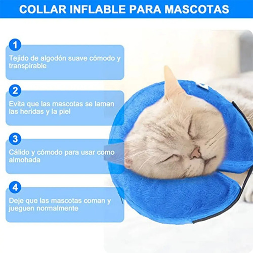 Collar Isabelino Regulable A Prueba De Mordidas P/perro Gato Azul Xl 8