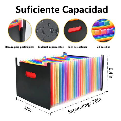 A4 Carpeta Organizadora Clasificadora Archivo 24 Fuelles 12