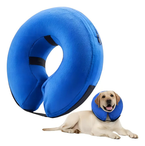 Collar Isabelino Regulable A Prueba De Mordidas P/perro Gato Azul Xl 14
