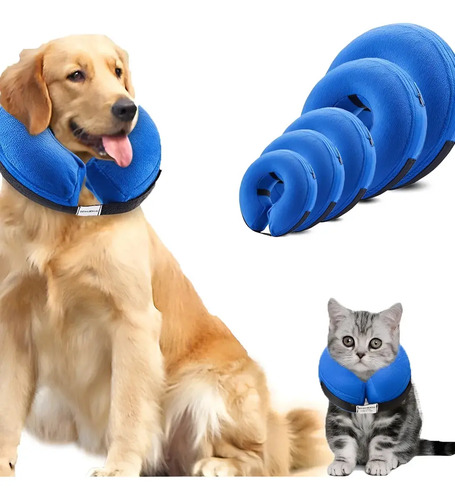 Collar Isabelino Regulable A Prueba De Mordidas P/perro Gato Azul Xl