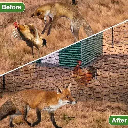 Red Antipájaros Para Protección De Jardines, Malla De Jardín 3