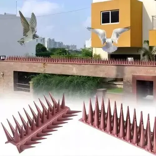 Pack 12 Púas Repelente Palomas Anti Aves Pajaros Ahuyentador 8