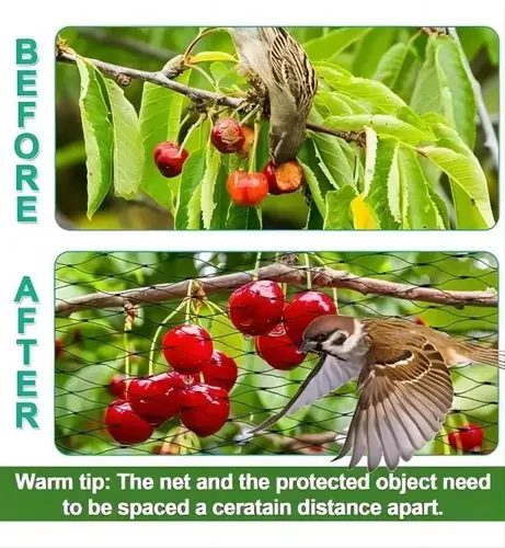 Red Antipájaros Para Protección De Jardines, Malla De Jardín 2